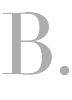 Bas van der Werf Logo